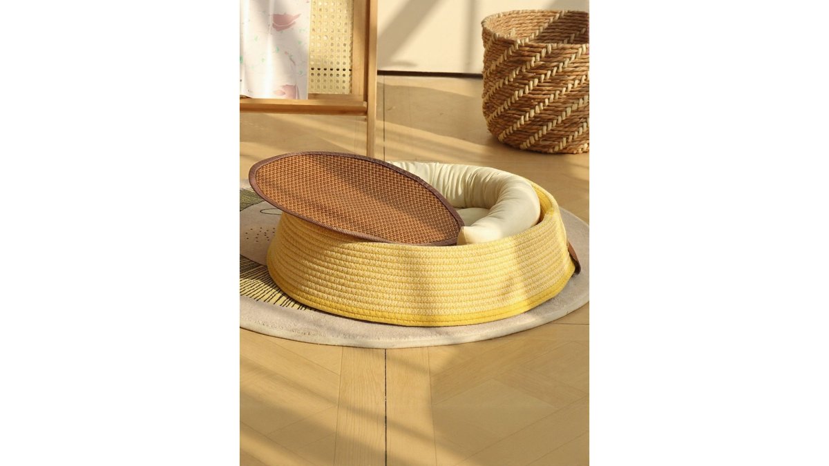Durable Beach Accessories for Dogs: A 2026 Guide
