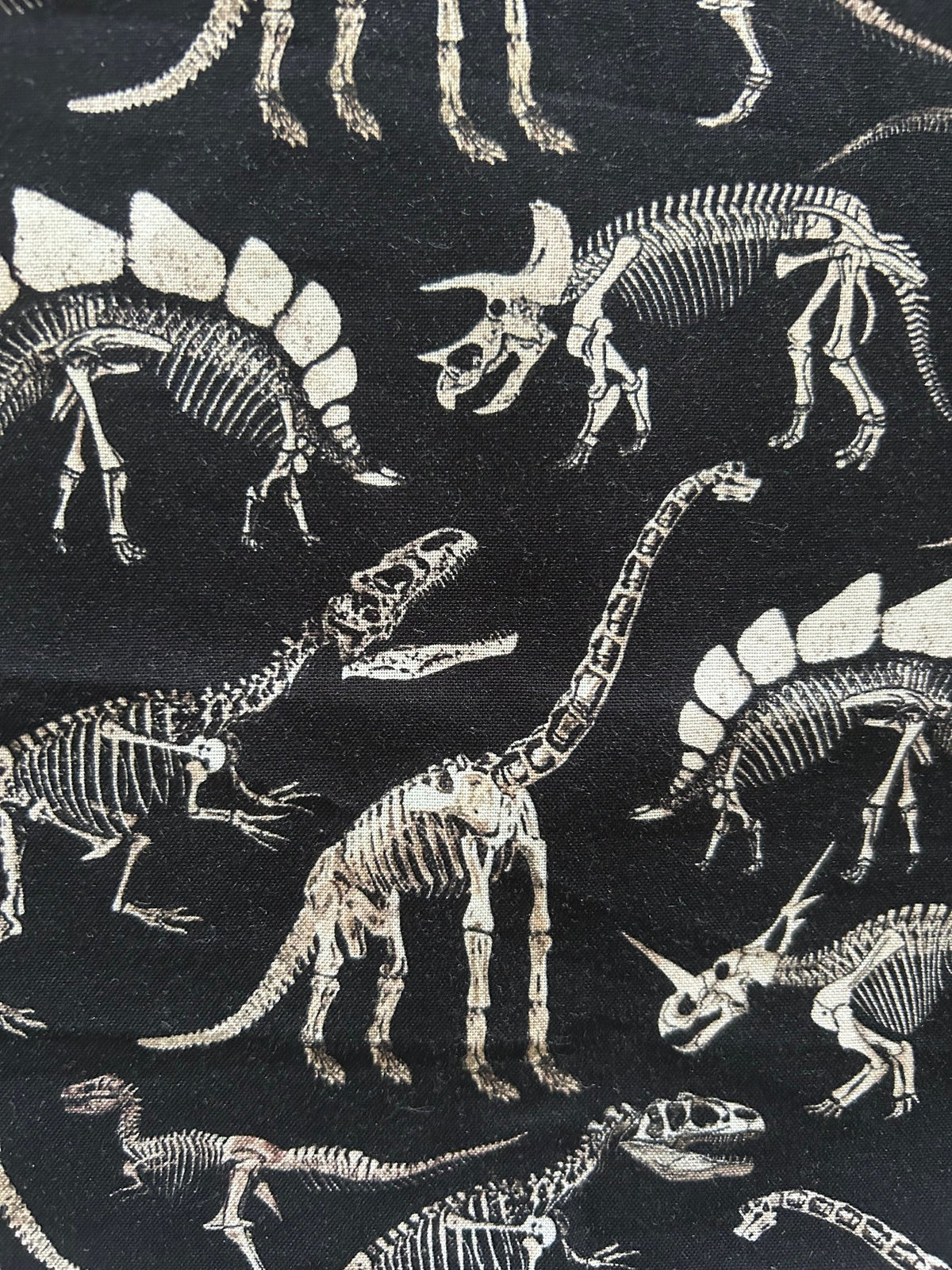 Dino Bones Bow Top
