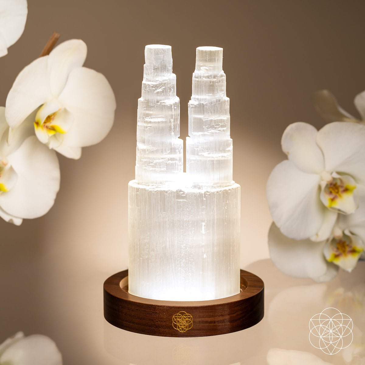 Two-Tower Selenite Lamp – Deep Energy Cleanse &amp; Reset